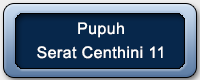pupuh-surat-centhini-11 pupuh-surat-centhini-11